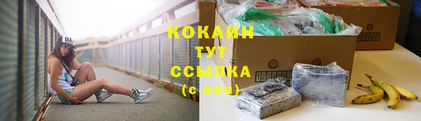 стафф Абаза