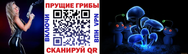сайты даркнета Telegram  Щучье  Галлюциногенные грибы мухоморы 